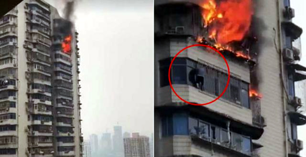 প্রাণ বাঁচাতে ২০ তলায় ঝুলছিলেন তিনি