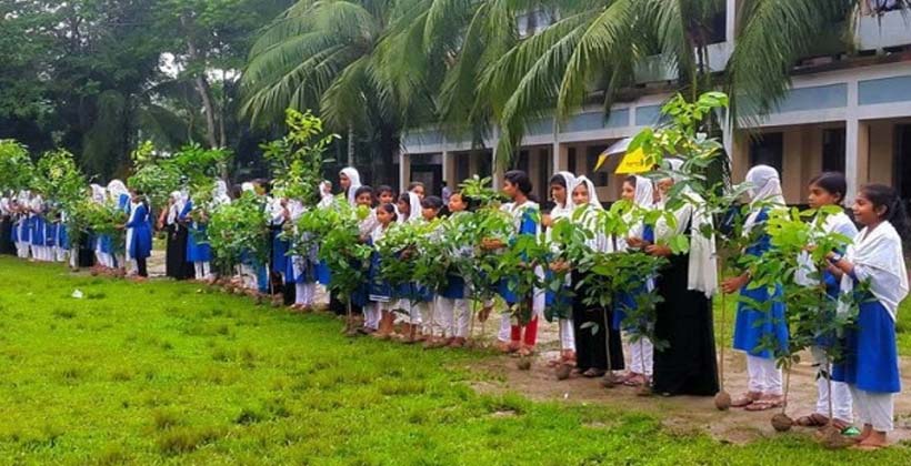 ৩০ লাখ শহীদের স্মরণে বৃক্ষরোপণ