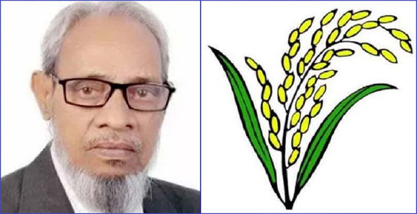 ব্রাহ্মণবাড়িয়া ধানের শীষের জয়