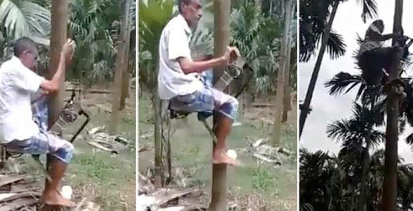 গাছে চড়ার বাইক উদ্ভাবন করে হইচই ফেলে দিলেন কৃষক