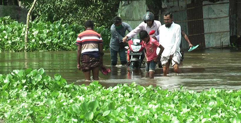 পাহাড়ি ঢলে নেত্রকোনায় তলিয়ে গেছে সড়ক