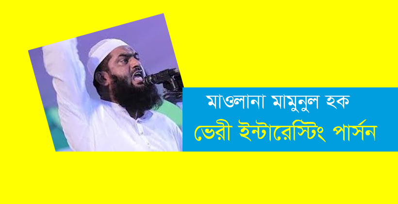 মাওলানা মামুনুল হক ও ভেরী ইন্টারেস্টিং পার্সন