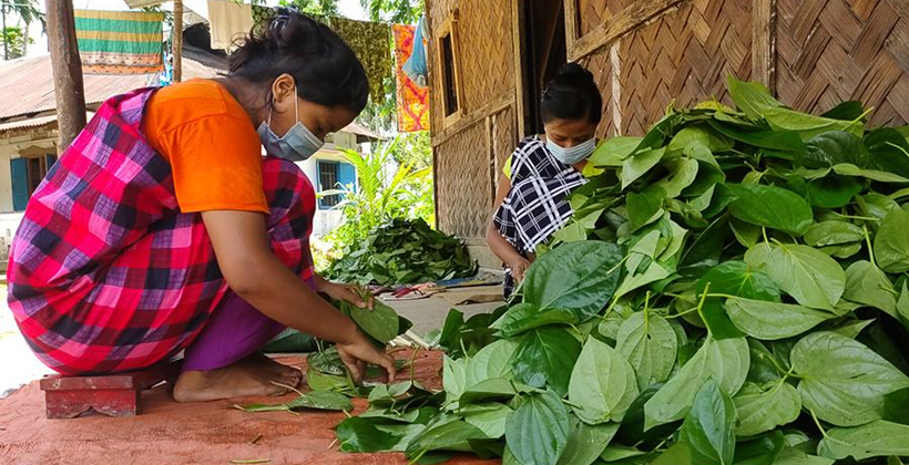 ক্ষুদ্র নৃগোষ্ঠী : প্রসঙ্গ বাংলাদেশ