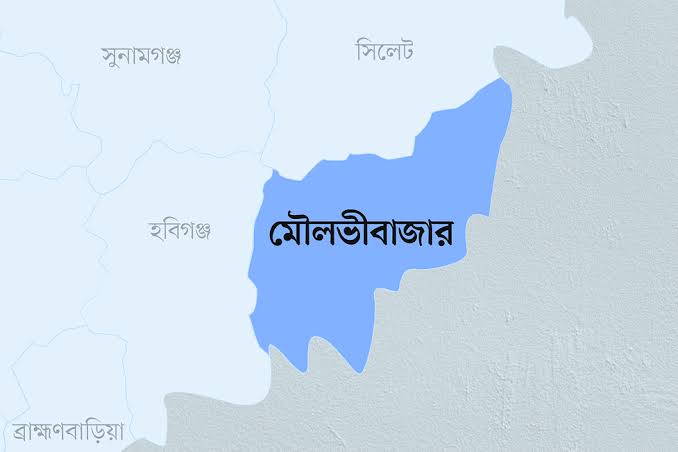 মৌলভীবাজার সীমান্ত থেকে ৮ রোহিঙ্গা আটক