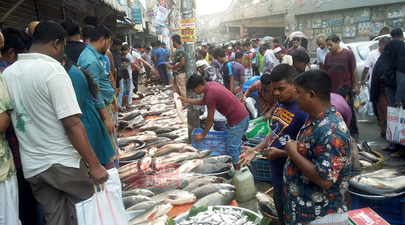 আকাল ইলিশে অন্য মাছেরও বেড়েছে দাম