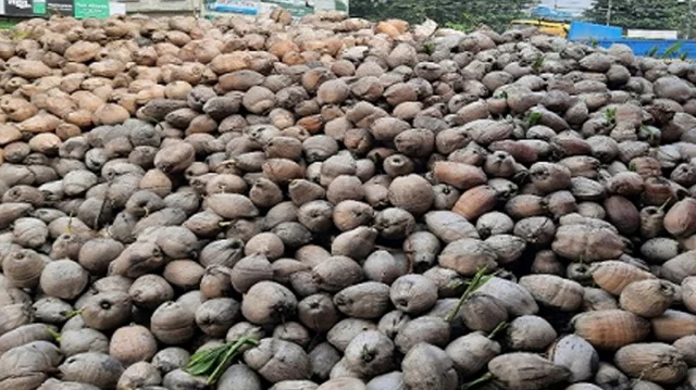 প্রথম বারের মতো ভারত থেকে হলো নারিকেল আমদানি