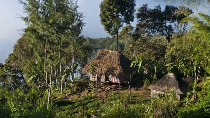 পাপুয়া নিউগিনিতে গোলাগুলিতে নিহত ৫৩