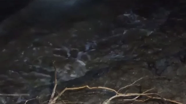 খুলনায় ঘূর্ণিঝড় রেমালের তাণ্ডব