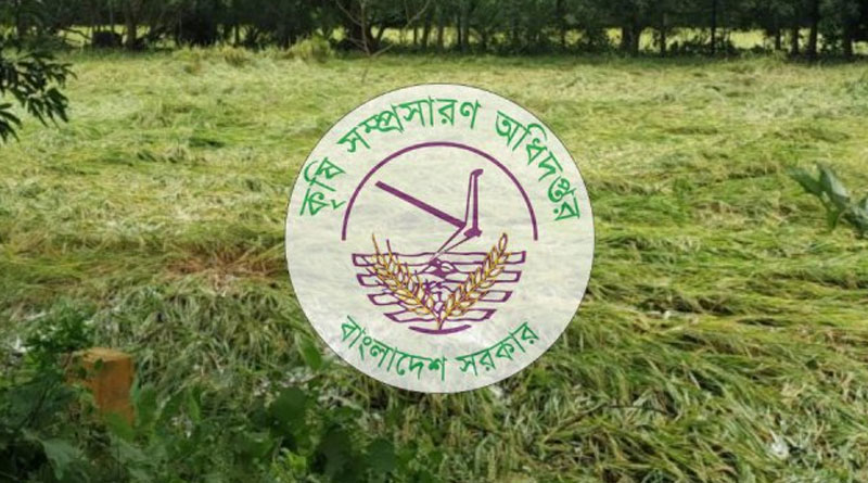 ঘূর্ণিঝড় রিমালে ক্ষতি হয়েছে ১ লাখ ৭১ হাজার হেক্টর ফসলি জমির