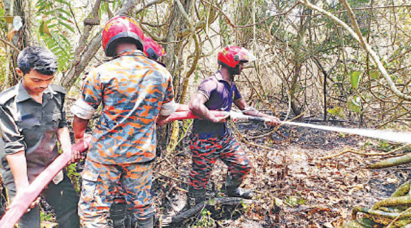 ২৩ বছরে সুন্দরবনে সব অগ্নিকাণ্ড মাত্র ৫ শতাংশ এলাকায়