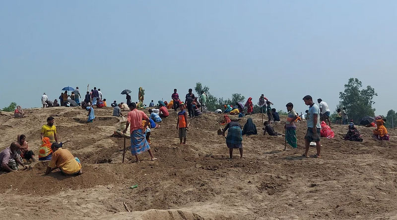 ঠাকুরগাঁওয়ে সোনার খোঁজে ইটভাটায় খোঁড়াখুঁড়ি