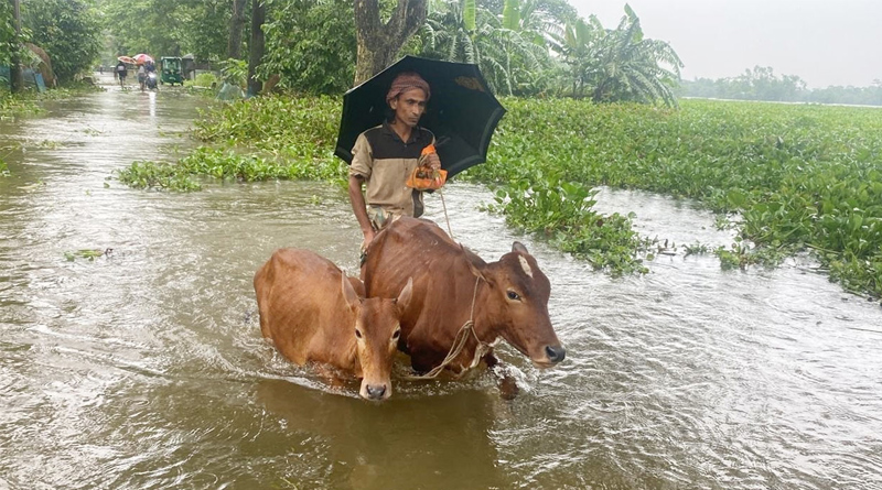 পাঁচ জেলার বন্যা পরিস্থিতি স্বাভাবিক, ফেনীসহ চার জেলায় উন্নতি