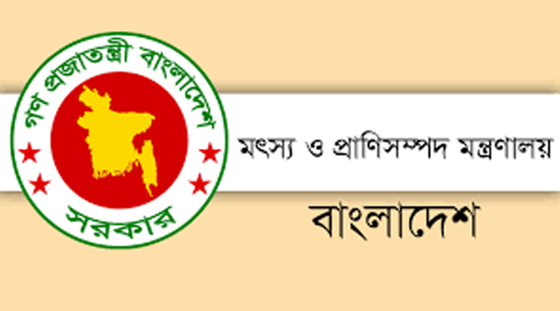 ইলিশ আগে পাবে দেশের মানুষ, পরে রপ্তানি : মৎস্য উপদেষ্টা