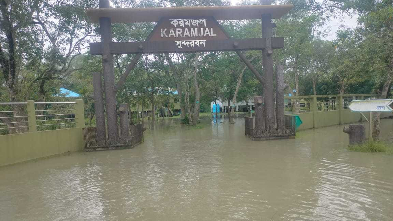 বিপৎসীমার ওপরে মোংলার নদ-নদীর পানি, তলিয়েছে সুন্দরবন