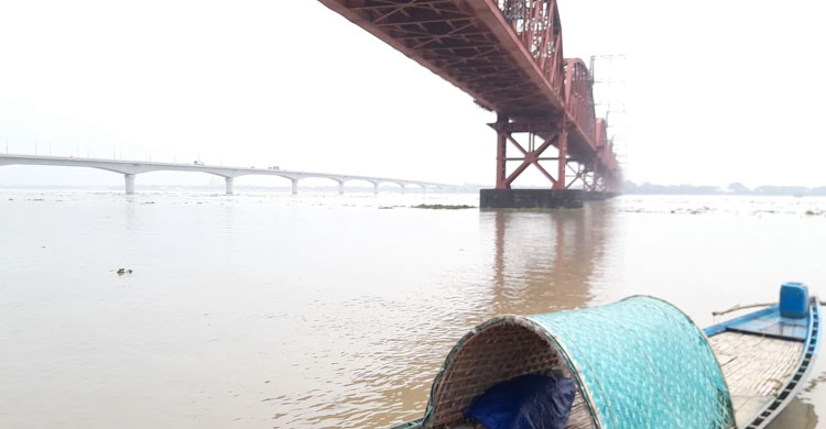 হঠাৎ বেড়েছে পদ্মার পানি, ডুবছে ফসলি জমি