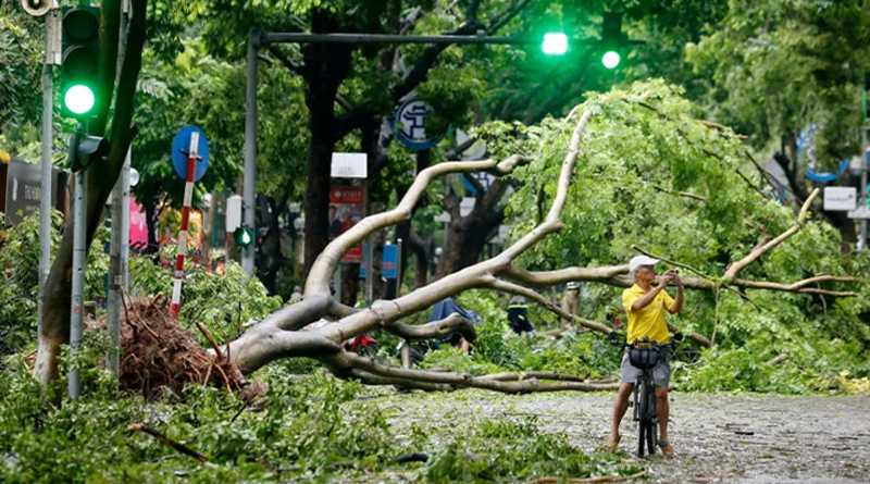 ভিয়েতনামে টাইফুন ইয়াগির তাণ্ডবে নিহত ৫৯