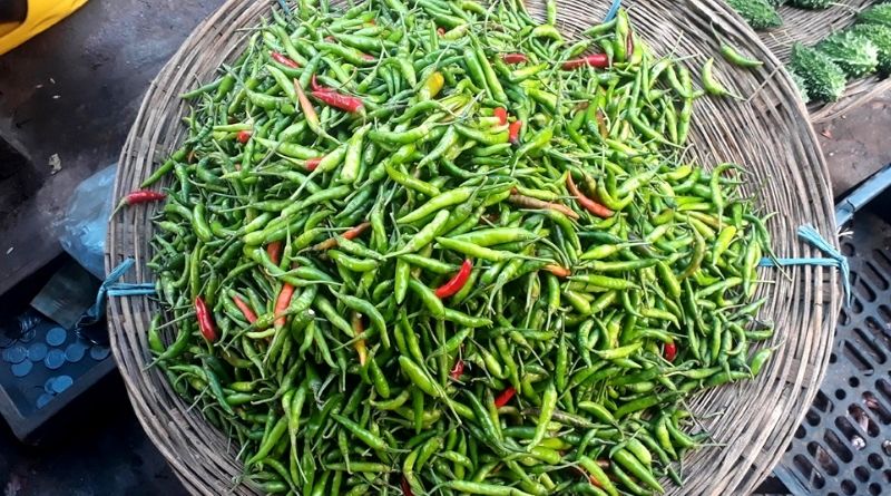 ভারত থেকে এলো ৫০০ টন কাঁচা মরিচ, কমতে পারে দাম