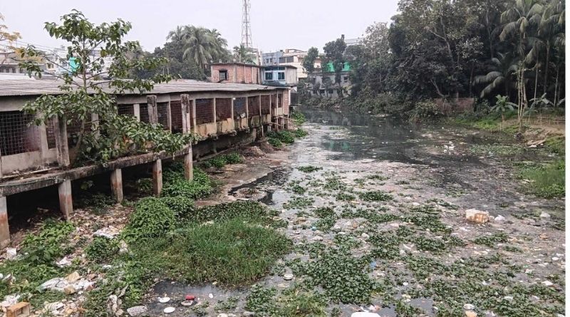 নতুন প্রজন্মকে দূষণমুক্ত খাল-নদী দেখাতে হবে : রিজওয়ানা