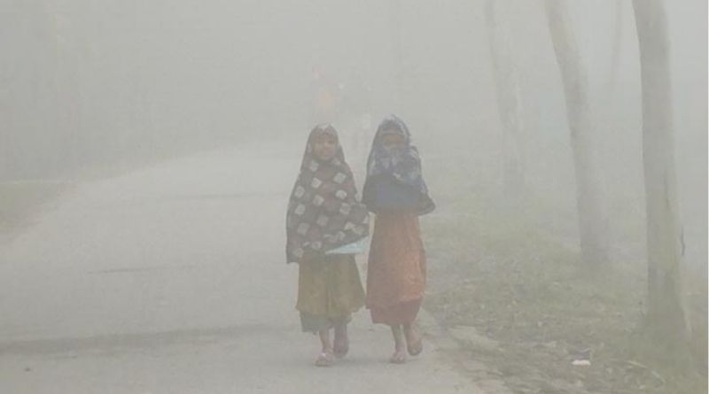 আগামী ৫ দিন যেমন থাকবে দেশের আবহাওয়া পরিস্থিতি