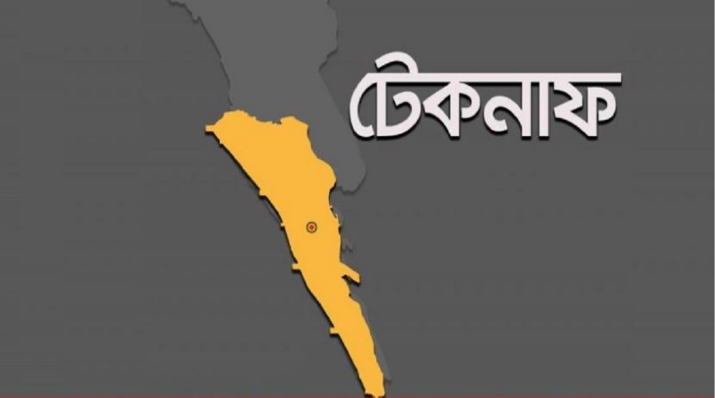 বাড়ির উঠানে ২০ ফুট লম্বা অজগর