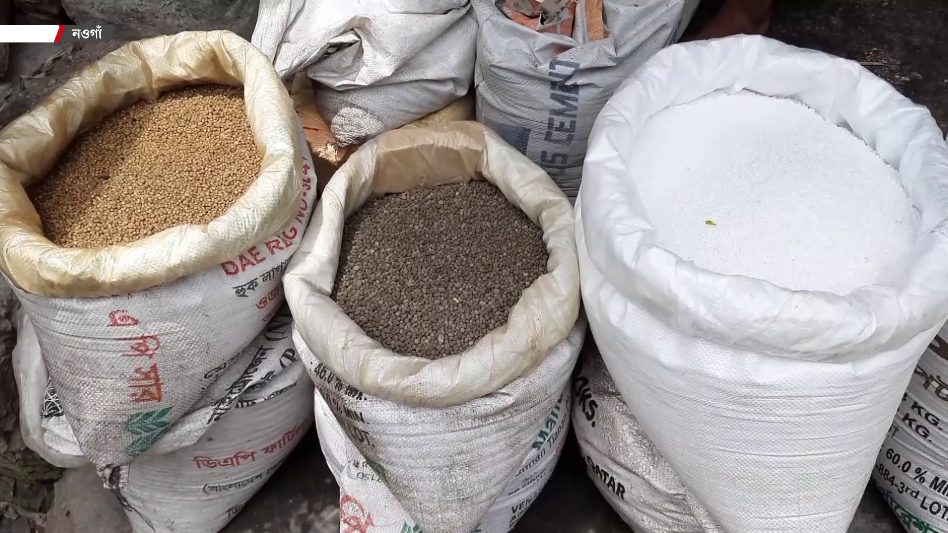 রাশিয়া-সৌদি থেকে ৪৫২ কোটি টাকার সার কিনবে সরকার