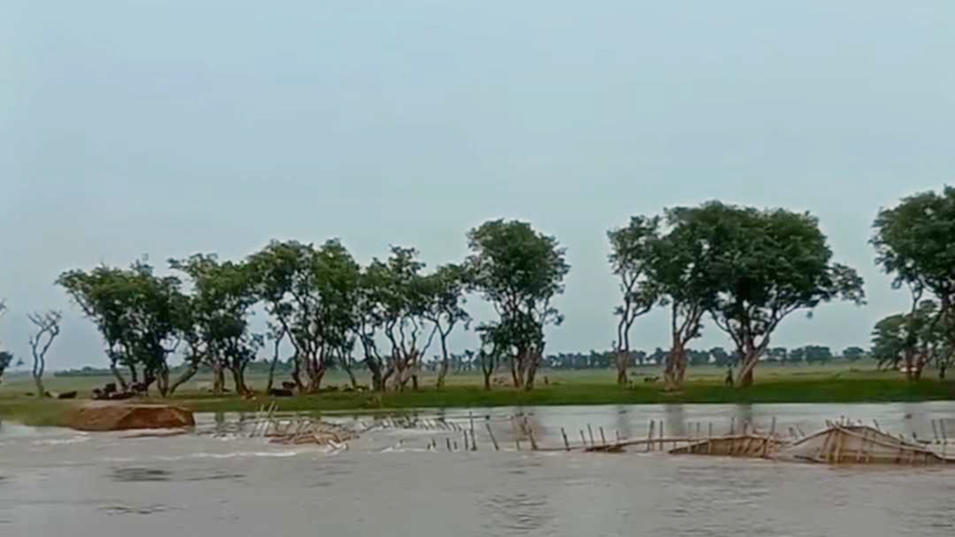 টাঙ্গুয়ার হাওড়ে বাড়ছে পানি, দেশীয় মাছ উৎপাদনে সুখবর