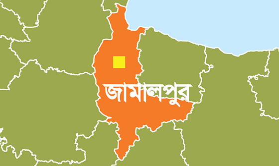জামালপুরে যৌথবাহিনীর অভিযানে ভিজিএফের ১০২ বস্তা চাল জব্দ