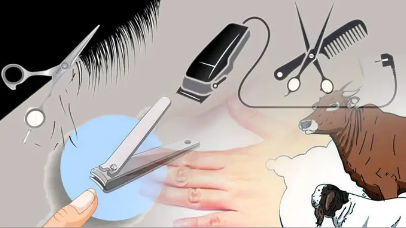 চুল-নখ কেটে ফেলুন জিলহজ মাস শুরুর আগেই