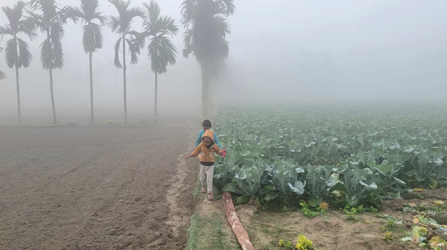 চুয়াডাঙ্গায় মৃদু শৈত্যপ্রবাহ, তাপমাত্রা আরও কমবে