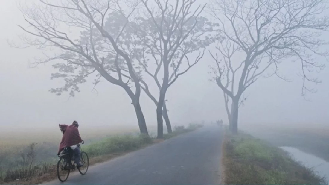 শৈত্যপ্রবাহে বিপর্যস্ত বাঘার কৃষক ও নিম্ন আয়ের মানুষ, ফসল ক্ষতিগ্রস্ত